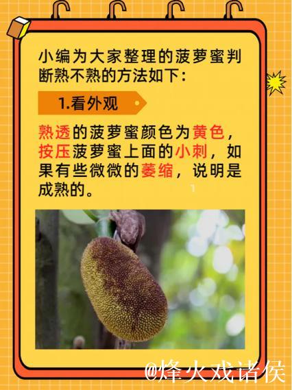 菠萝蜜视频软件免费看精选内容 菠萝蜜视频软件免费看精选内容